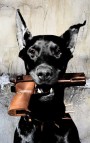 Hund Dog Pistole Pop-Art Wandbild Modern Tiere